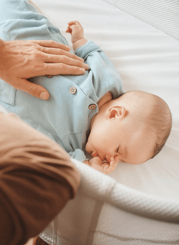 BabyBjörn Baby Crib- Bambi Baby