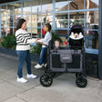 WonderFold Buddy Board W6 - Black - Bambi Baby