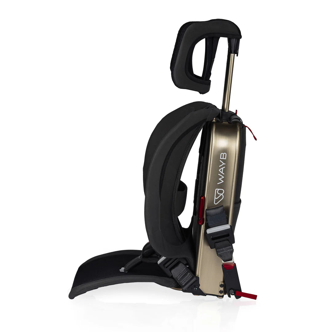 WAYB Pico Car Seat- Bambi Baby