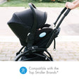 Clek Liingo Baseless Infant Car Seat - Bambi Baby
