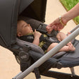 Encartes Britax CozyFit para carrinhos Brook, Brook+ e Grove em Onyx - Bambi Baby