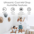 Crane Baby Drop Cool-Mist Humidifier, 1 Gal. - Bambi Baby