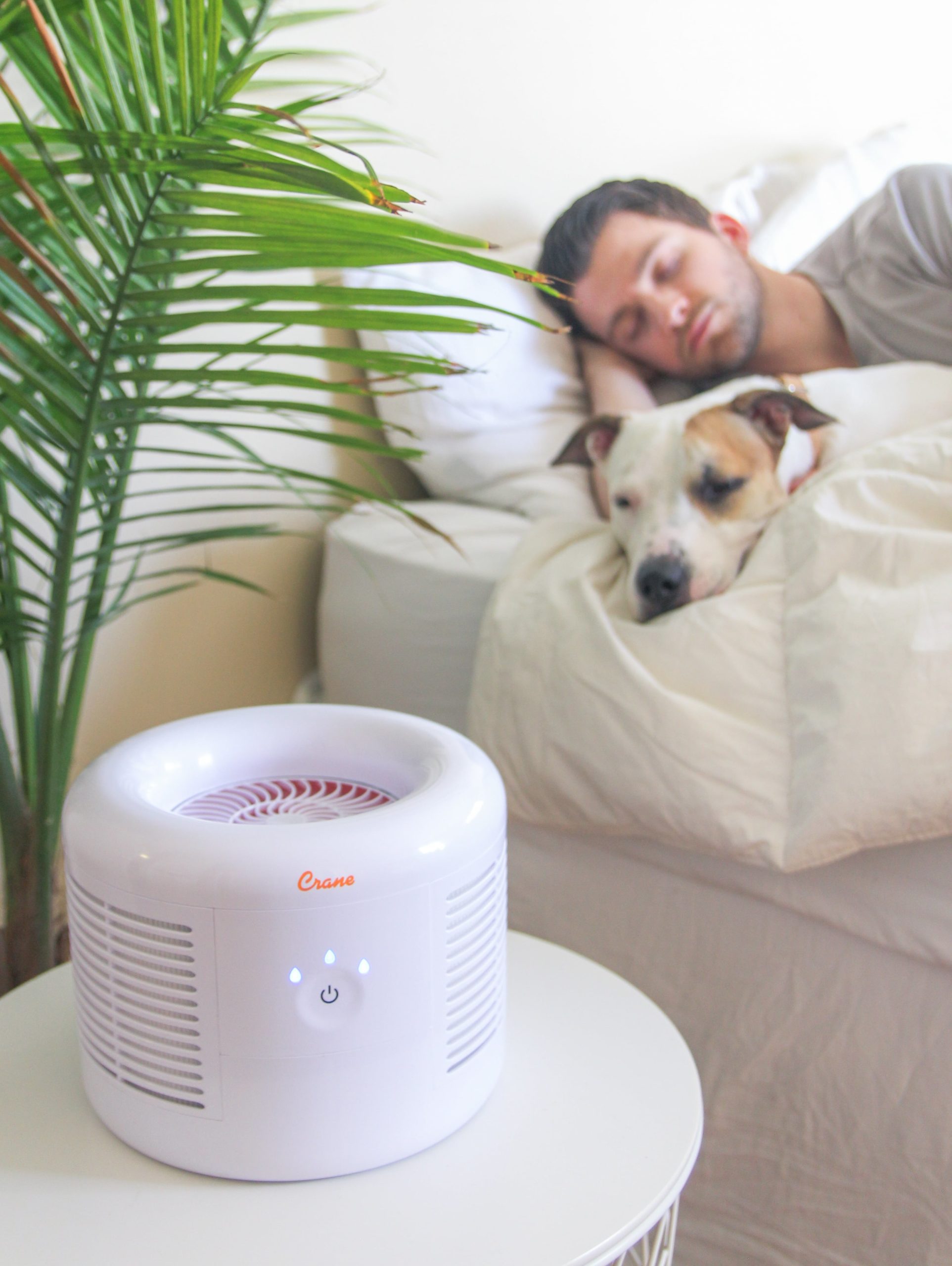 Crane Baby Crane Air Purifier with True HEPA Filter- Bambi Baby