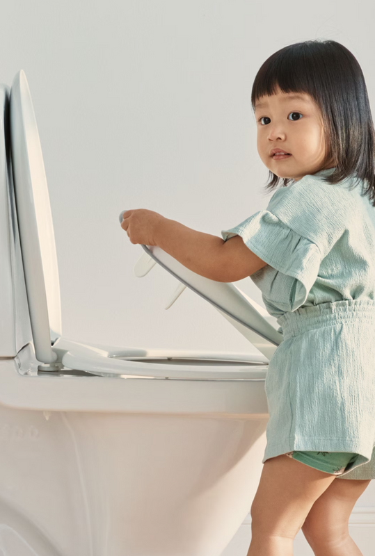 BabyBjörn Toilet Training Seat- Bambi Baby