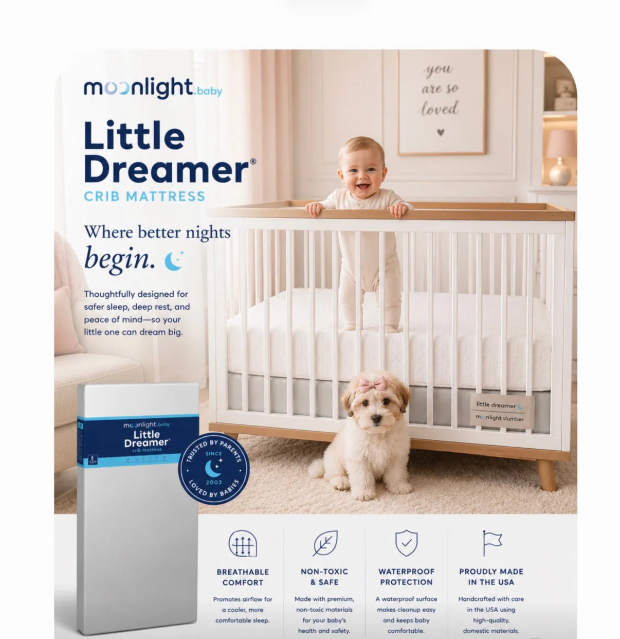 Moonlight Slumber Little Dreamer 5" Dual-Sided Crib Mattress- Bambi Baby