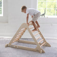 Little Partners Learn 'N Climb Triangle (Knock-Down) - Bambi Baby