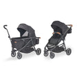 Larktale Crossover V2 Stroller/Wagon - Bambi Baby