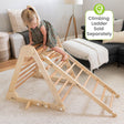 Little Partners Learn 'N Climb Triangle (Knock-Down) - Bambi Baby