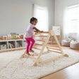 Little Partners Learn 'N Climb Triangle (Knock-Down) - Bambi Baby