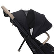 Maxi Cosi Oxford Cabin Lightweight Travel Stroller - Bambi Baby