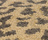 Leopard Decorative