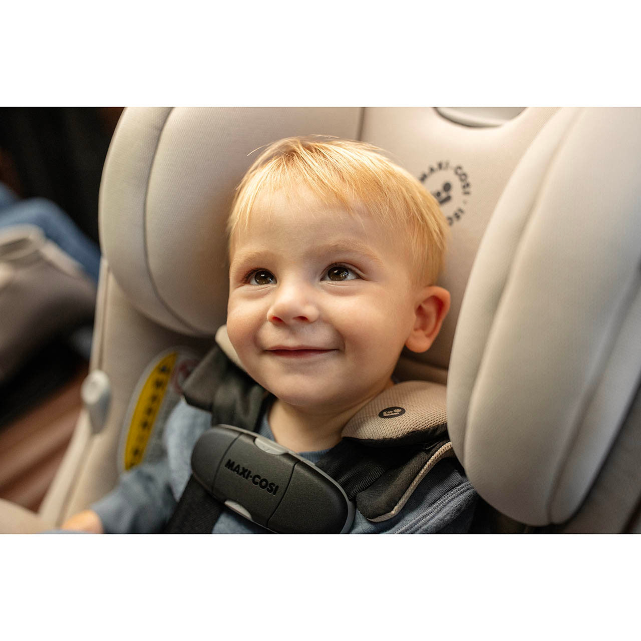 Maxi Cosi Pria Max All-in-One Convertible Car Seat- Bambi Baby