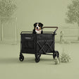 Wonderfold Max Pet Stroller - Bambi Baby