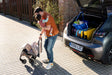 Joolz Aer2 Buggy Single Stroller - Bambi Baby