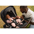 Nuna TRIV lx Mid-Size Stroller - Bambi Baby