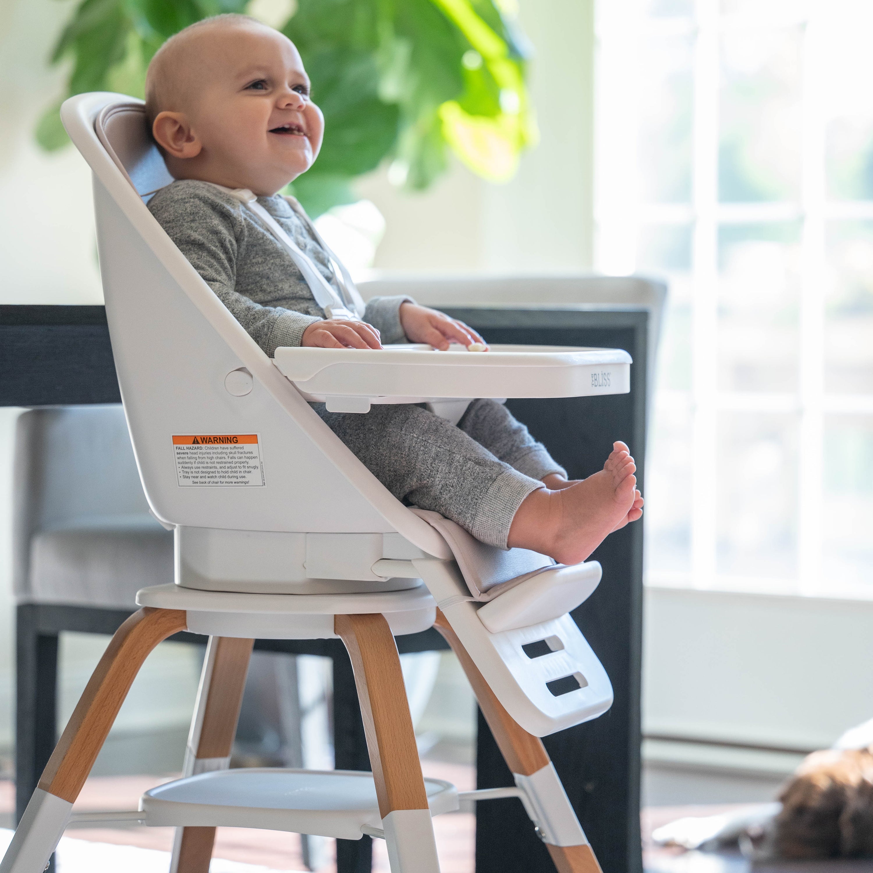 TruBliss Turn-A-Tot Highchair- Bambi Baby