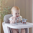 Shnuggle Stick N Play Star Toy - Bambi Baby