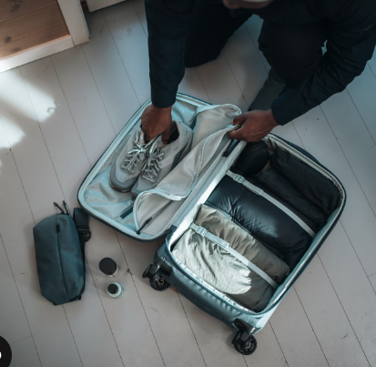 Thule Aion Carry On Spinner- Bambi Baby