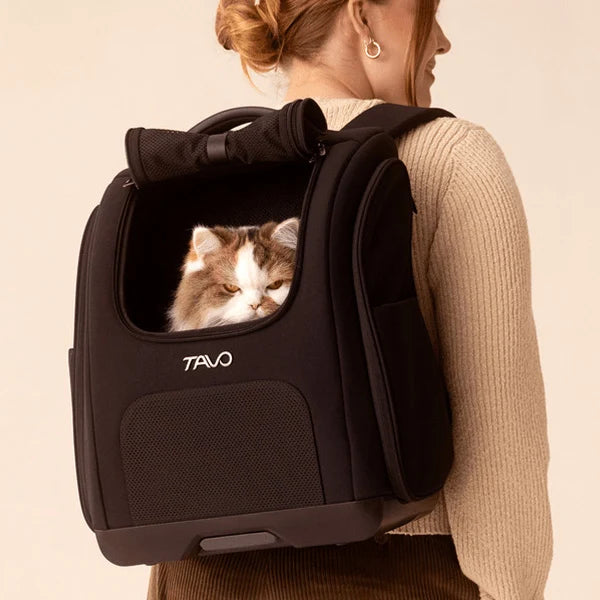 Tavo Kamella Pet Backpack & Car Seat- Bambi Baby