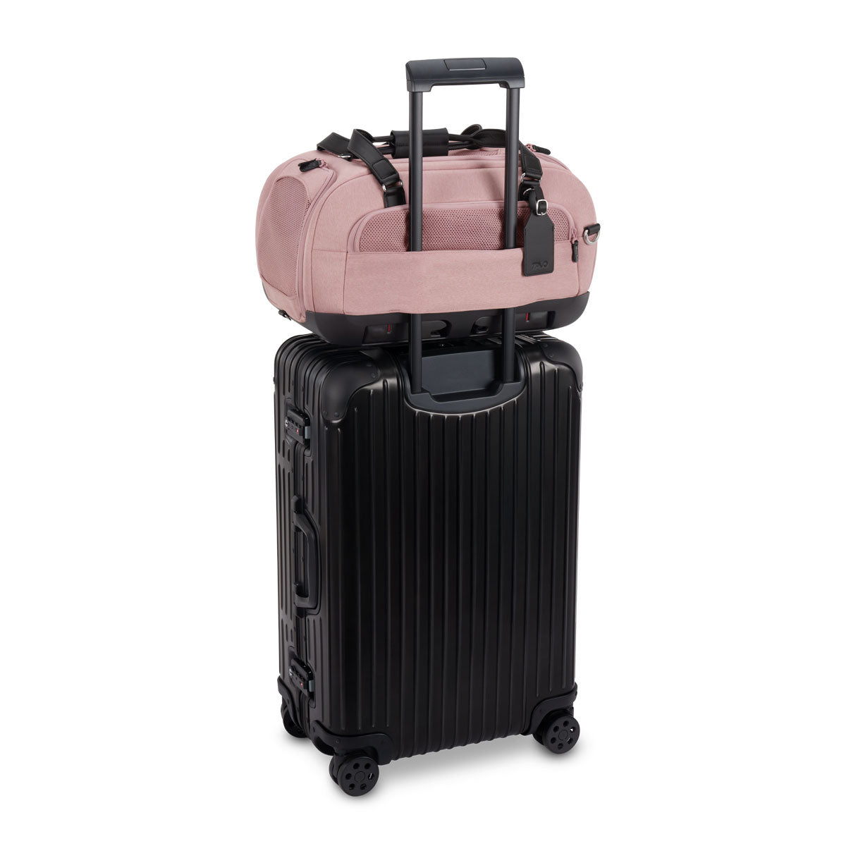 Tavo Dupree II Airline Carry-on Pet Car Seat- Bambi Baby
