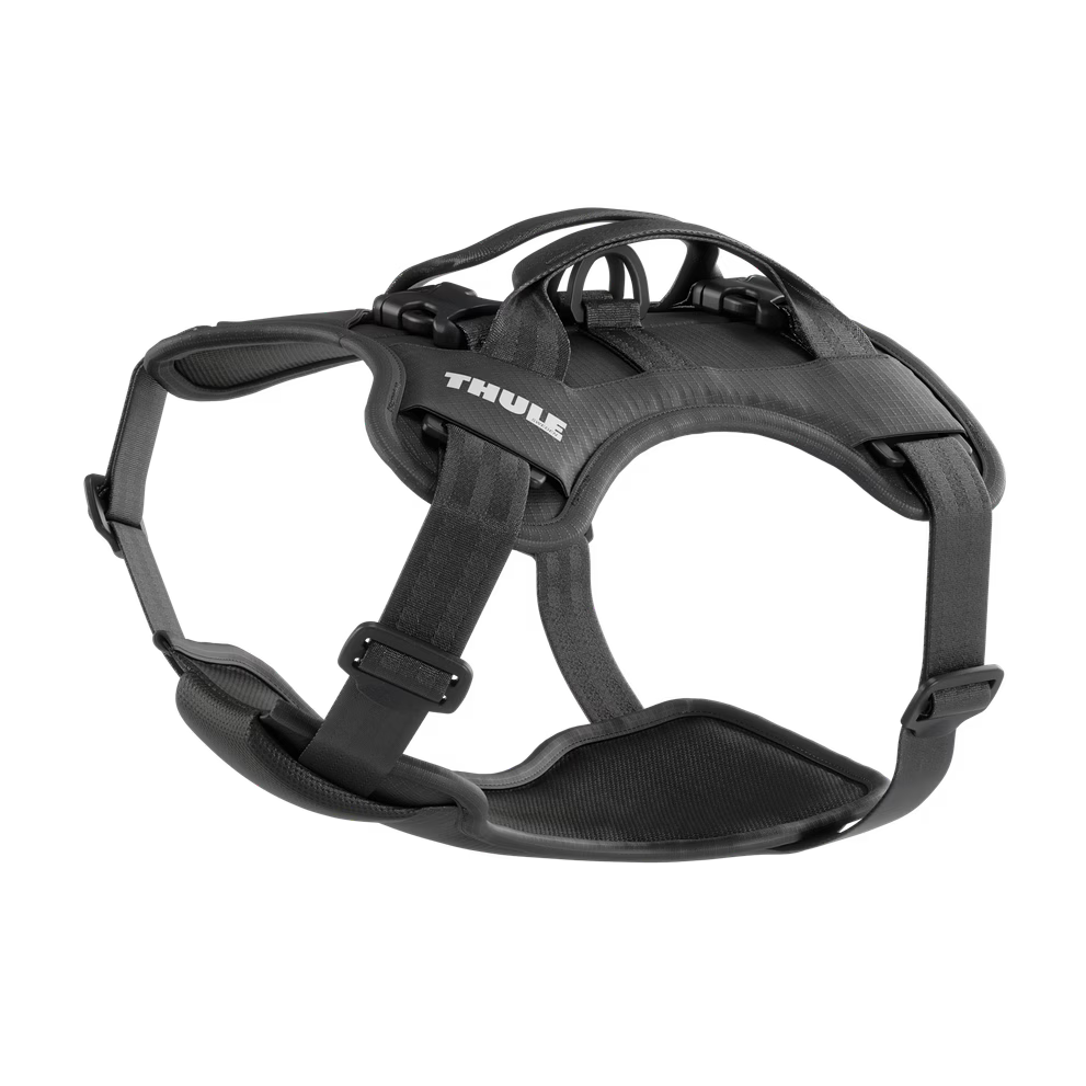 Thule Cappy- Bambi Baby