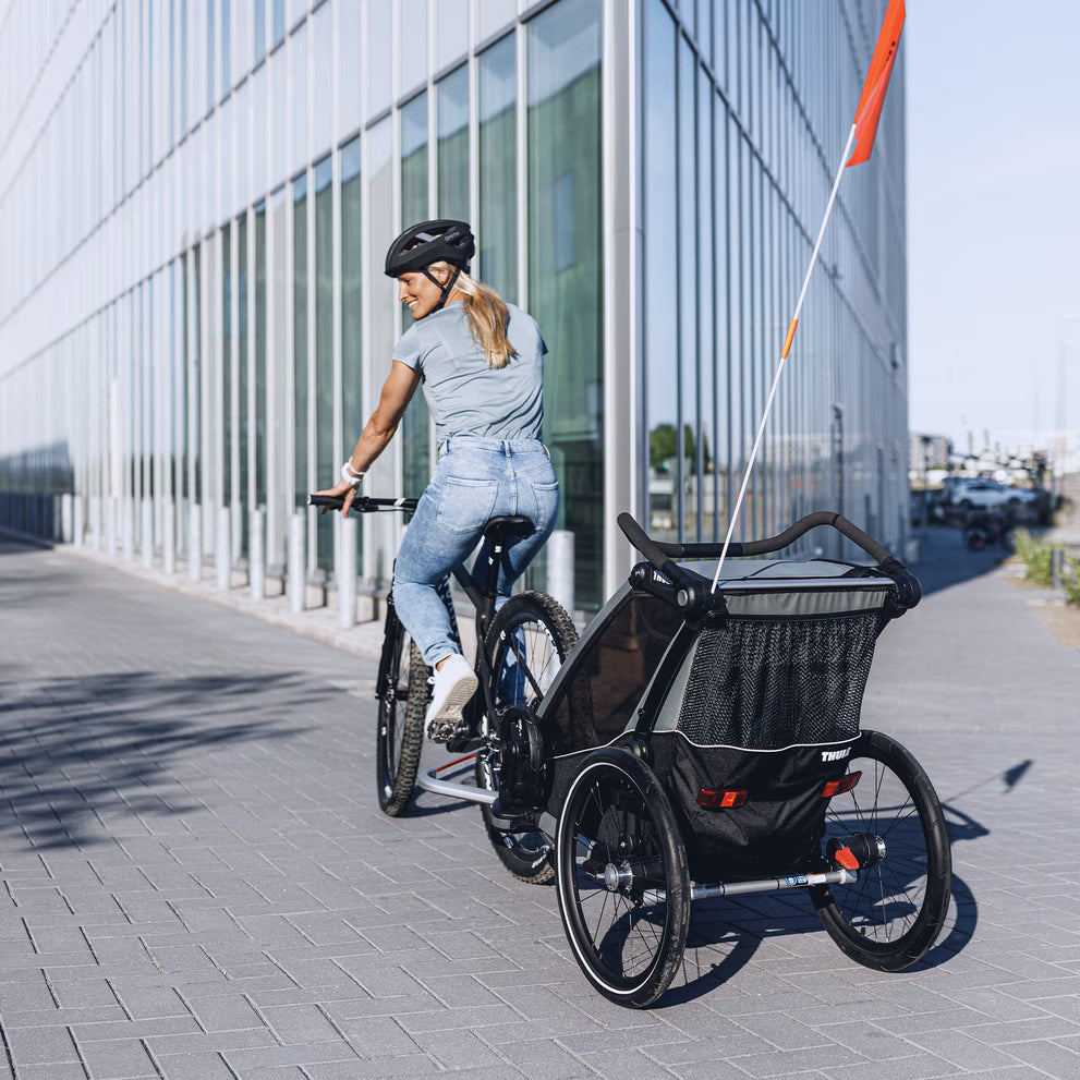 thule chariot lite hängematte Thule Chariot Lite 1-Seat Multisport Bike Trailer Agave – Bambi Baby