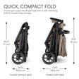 Britax Prism Full-Size Modular Stroller - Bambi Baby