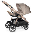 Cochecito Peg Perego Veloce en Mon Amour - Bambi Baby