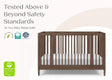 Delta Children Jalen Grow With Me 9-in-1 Convertible Bassinet to Crib - Bambi Baby