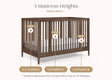Delta Children Jalen Grow With Me 9-in-1 Convertible Bassinet to Crib - Bambi Baby