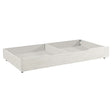 Westwood Olivia Youth Trundle - Bambi Baby