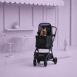 Wonderfold Bella Pet Stroller - Bambi Baby