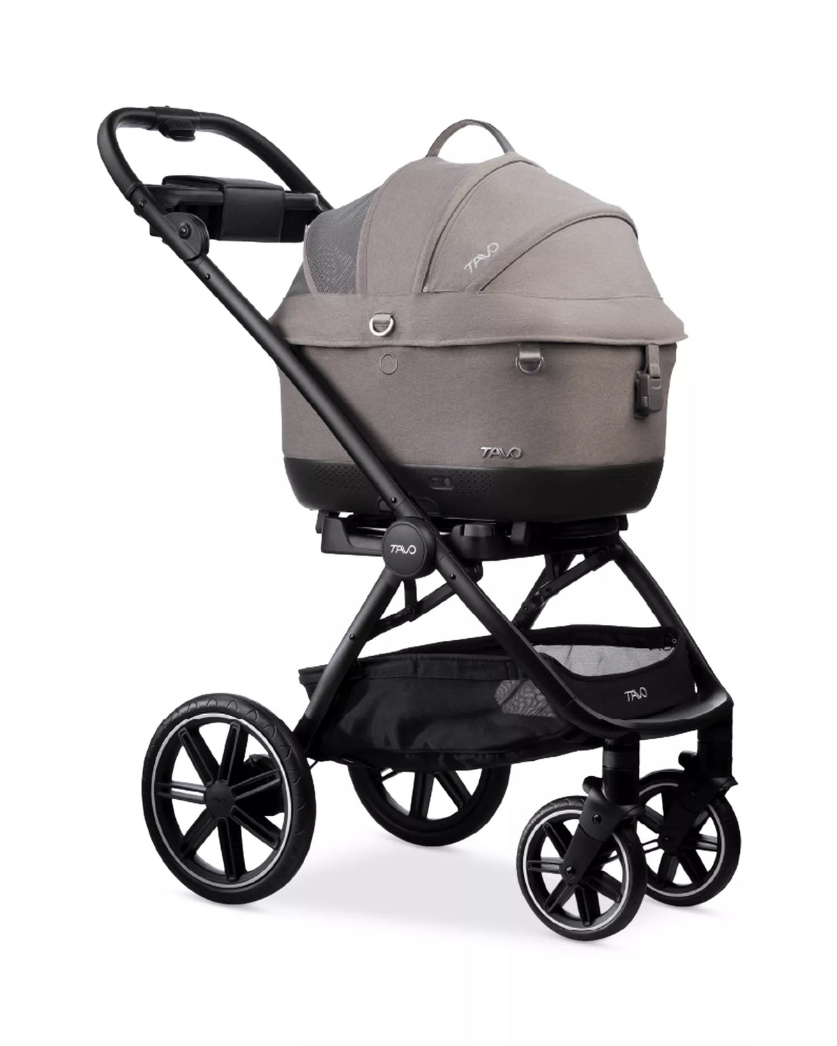 Tavo Maeve Iso Wind + Roscoe Trek- Bambi Baby