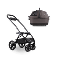 Tavo Maeve Iso Wind + Roscoe Trek - Bambi Baby