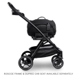 Tavo Dupree Adapter - Black - Bambi Baby