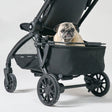 DFY Pet Basket - Black - Bambi Baby