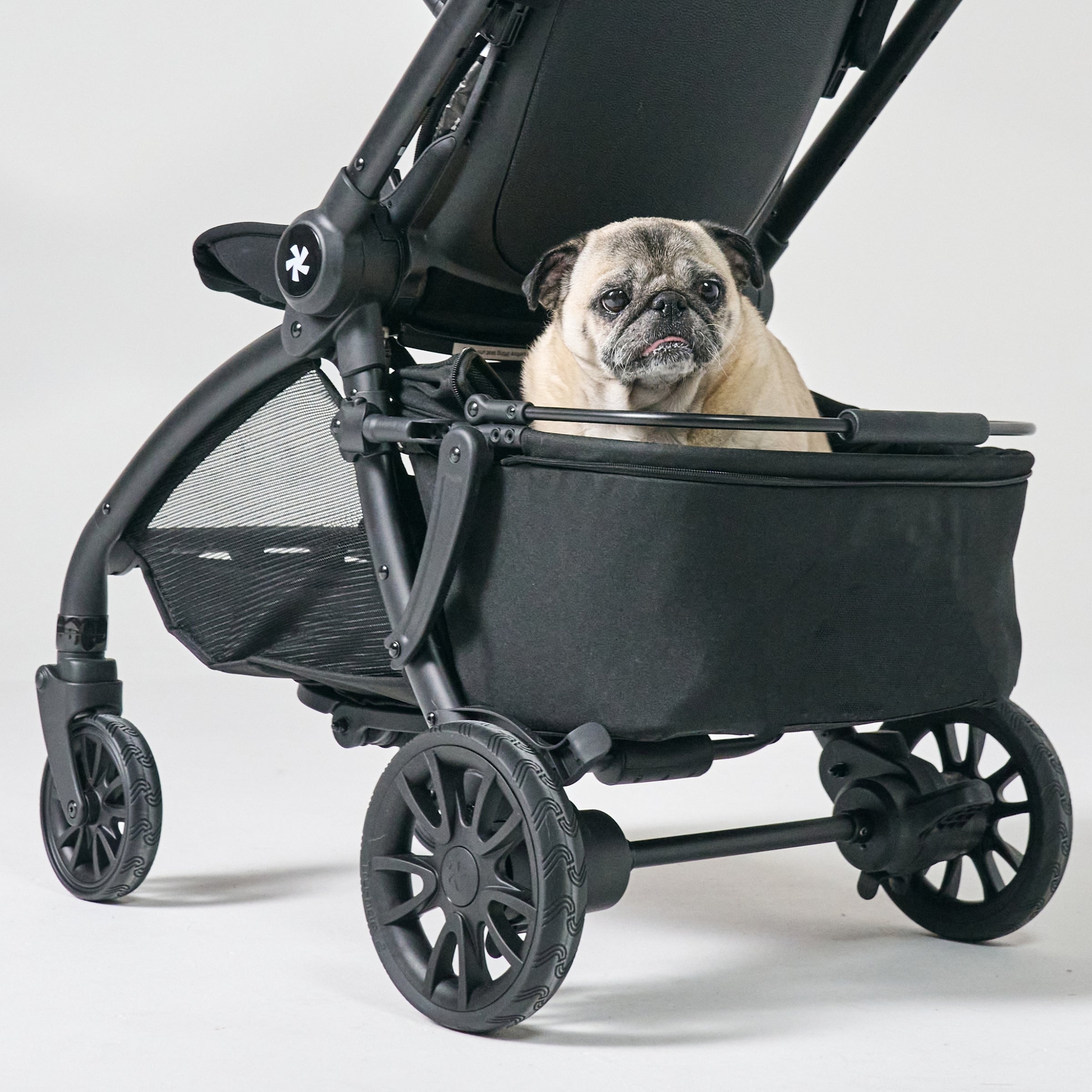 DFY Pet Basket - Black- Bambi Baby