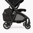 DFY Pet Basket - Black - Bambi Baby