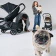 DFY Pet Basket - Black - Bambi Baby