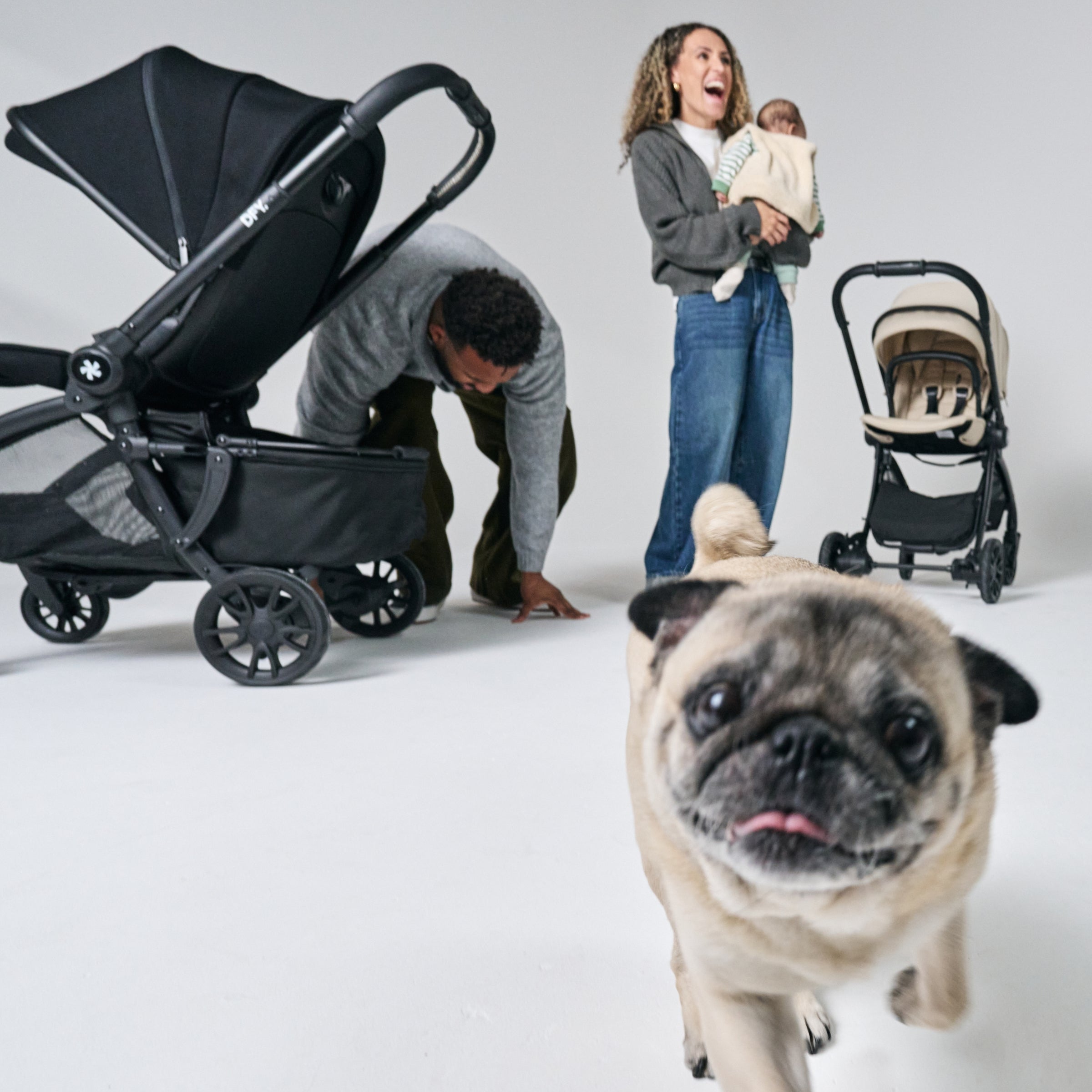 DFY Pet Basket - Black- Bambi Baby
