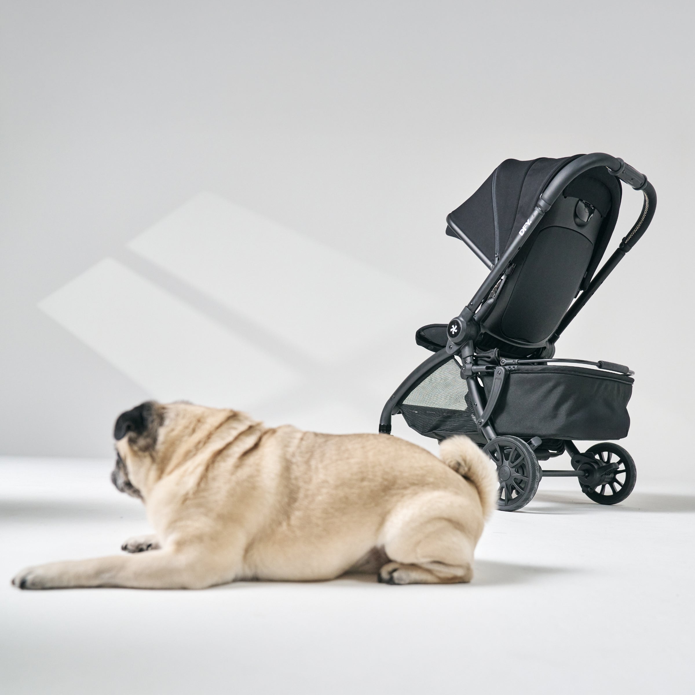 DFY Pet Basket - Black- Bambi Baby