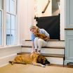 Crafted Gates Co. Oil Waxed Canvas Pet Safety Gate