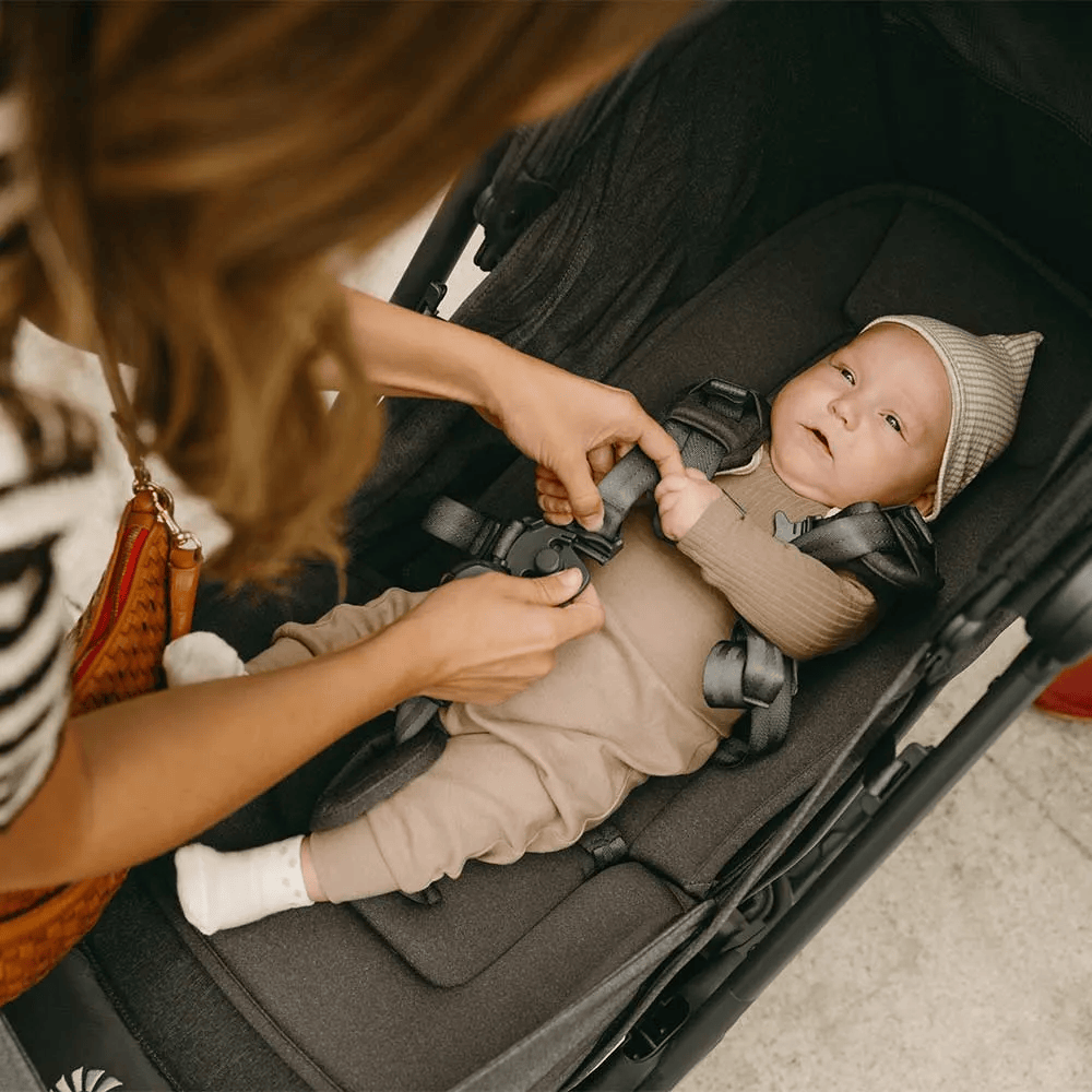 Ergobaby Metro 3 Deluxe Stroller- Bambi Baby