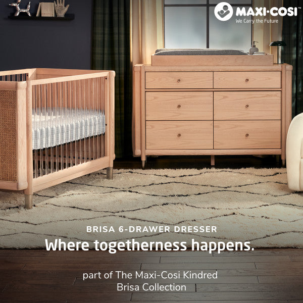 Maxi Cosi Kindred Brisa Double Dresser - Onyx Heritage- Bambi Baby