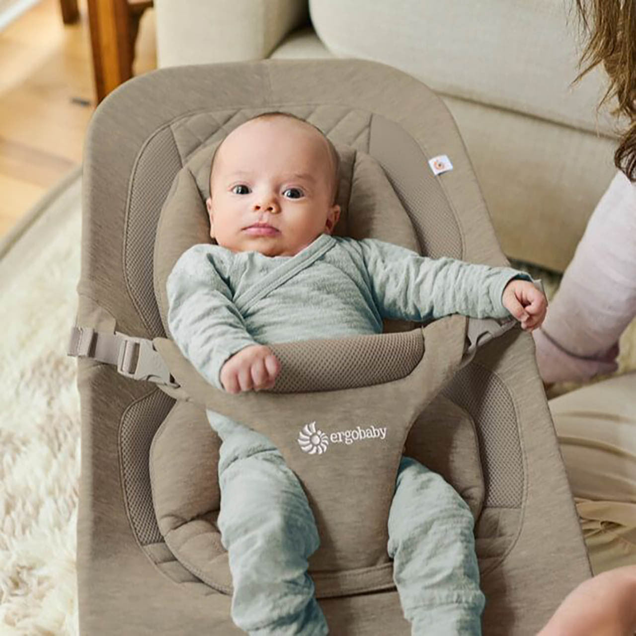 Ergobaby Evolve Bouncer- Bambi Baby