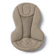 Ergobaby Evolve Bouncer - Bambi Baby