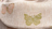Flutter