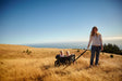 Veer All-Terrain Cruiser - Bambi Baby