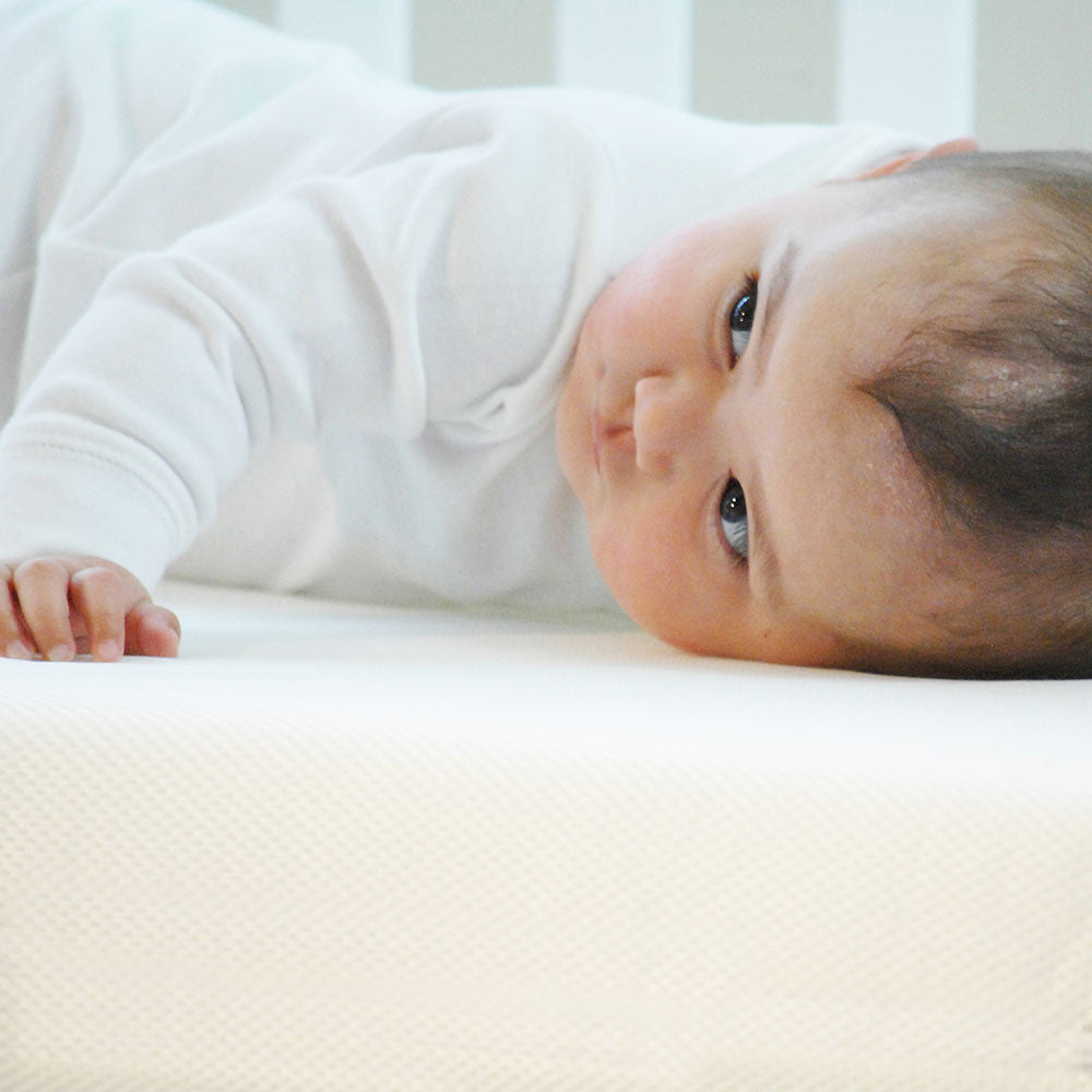 Moonlight Slumber Little Dreamer Breathe Crib Mattress Cover- Bambi Baby