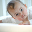 Moonlight Slumber Little Dreamer Breathe Crib Mattress Cover - Bambi Baby